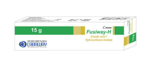 Fusiway-H